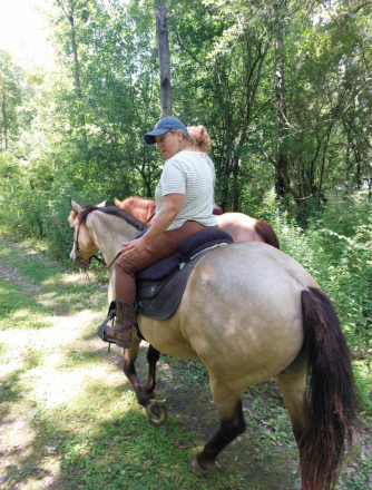 HorseID: 2308648 Rockafella - PhotoID: 1092888