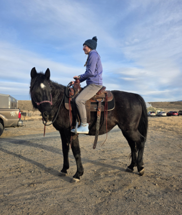 HorseID: 2308674 Lady Siete - PhotoID: 1092911