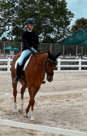 HorseID: 2308706 Pinot Noir - PhotoID: 1092926