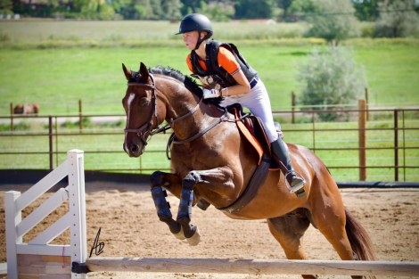 HorseID: 2308724 Dear Old Dad - PhotoID: 1092947