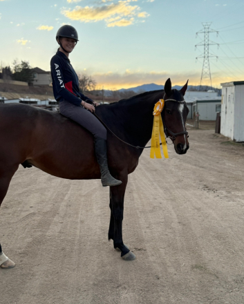 HorseID: 2308724 Dear Old Dad - PhotoID: 1092949