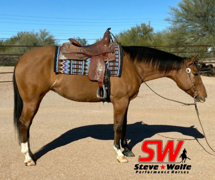 HorseID: 2308732 Hotter Than Hades - PhotoID: 1092963