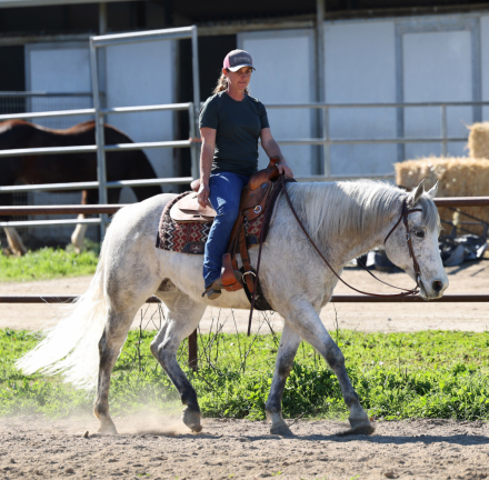 HorseID: 2308736 Good Night Rider - PhotoID: 1092969