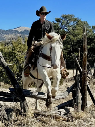 HorseID: 2308767 Valley Girl - PhotoID: 1092983