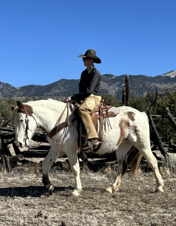 HorseID: 2308767 Valley Girl - PhotoID: 1092984