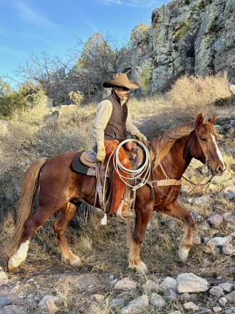 HorseID: 2308768 Rojo - PhotoID: 1092985