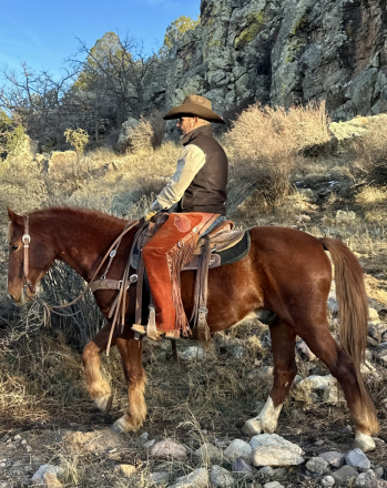 HorseID: 2308768 Rojo - PhotoID: 1092986