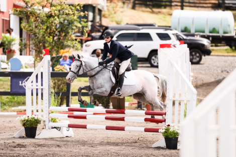 HorseID: 2308775 Willow - PhotoID: 1093010