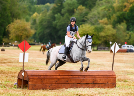 HorseID: 2308775 Willow - PhotoID: 1093011