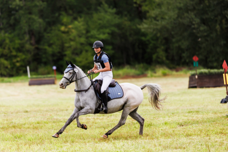 HorseID: 2308775 Willow - PhotoID: 1093012