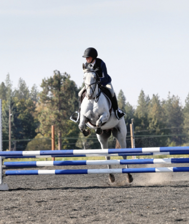 HorseID: 2308775 Willow - PhotoID: 1093014