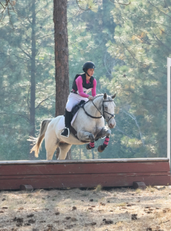 HorseID: 2308775 Willow - PhotoID: 1093015