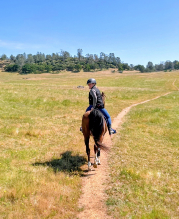 HorseID: 2308783 Eros Aragon - PhotoID: 1093025