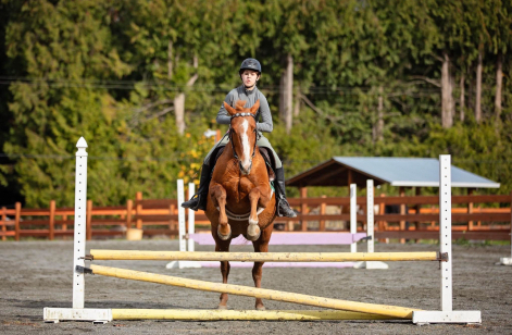 HorseID: 2308793 Spice - PhotoID: 1093047