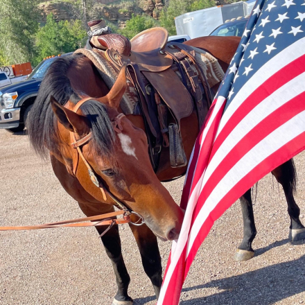 HorseID: 2308800 Suns First Moon - PhotoID: 1093057