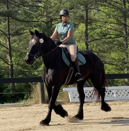 HorseID: 2308806 Coco - PhotoID: 1093065