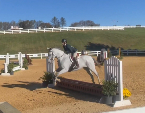 HorseID: 2308807 Hay, hay Reba - PhotoID: 1093067