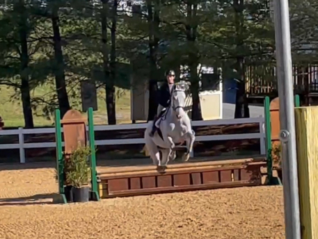 HorseID: 2308807 Hay, hay Reba - PhotoID: 1093068