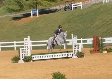 HorseID: 2308807 Hay, hay Reba - PhotoID: 1093070