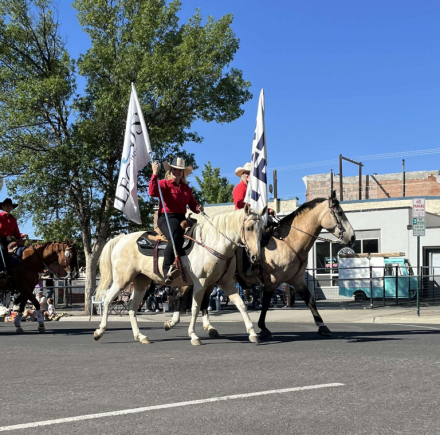 HorseID: 2308813 Shesa Smooth Ride - PhotoID: 1093133