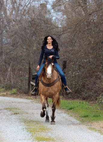 HorseID: 2308818 Beautiful buckskin draft cross mare - PhotoID: 1093082