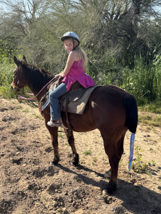 HorseID: 2308832 Snickers - PhotoID: 1093100