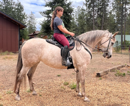 HorseID: 2308835 SW Montana - PhotoID: 1093101