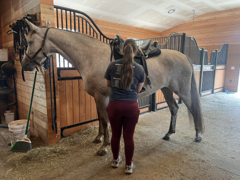 HorseID: 2308835 SW Montana - PhotoID: 1093102