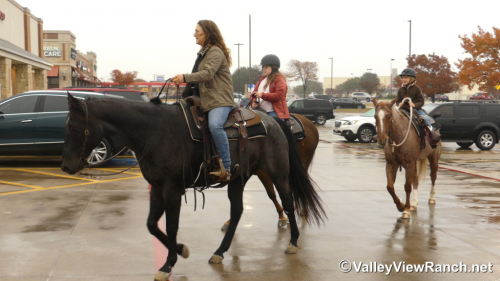 HorseID: 2308880 Bobby - PhotoID: 1093170