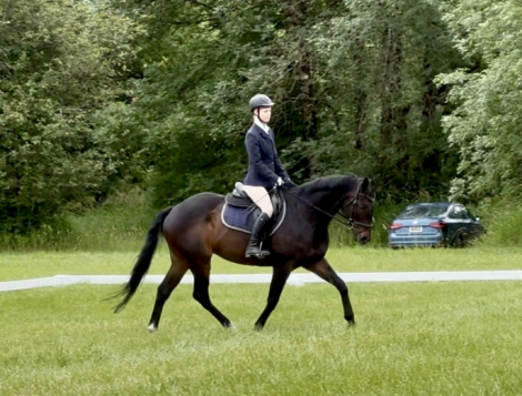 HorseID: 2308885 On My Watch - PhotoID: 1093181