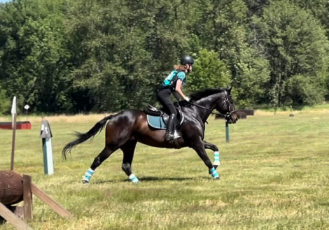 HorseID: 2308885 On My Watch - PhotoID: 1093182