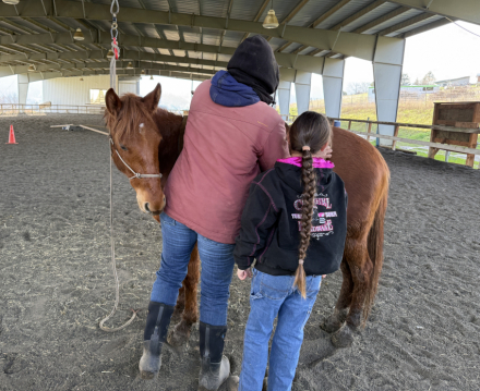 HorseID: 2308890 Chloe - PhotoID: 1093189