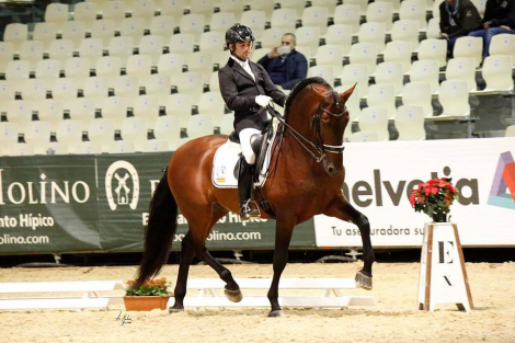 HorseID: 2308922 Manguito Atrevido - PhotoID: 1093405