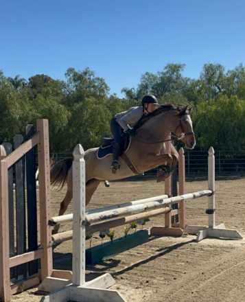 HorseID: 2308948 Worth The Wait - PhotoID: 1093262