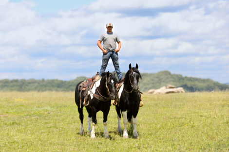 HorseID: 2308967 Tucker & Todd - PhotoID: 1093285