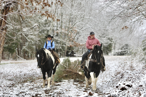 HorseID: 2308967 Tucker & Todd - PhotoID: 1093286