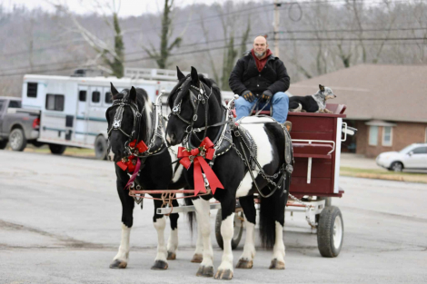 HorseID: 2308967 Tucker & Todd - PhotoID: 1093287