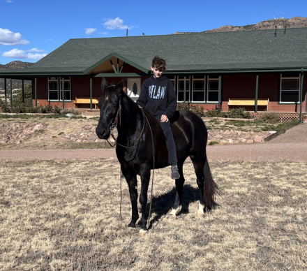 HorseID: 2308980 Laynes Elli Delight - PhotoID: 1093315