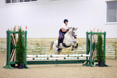 HorseID: 2309003 JNM Prince Caspian - PhotoID: 1093338