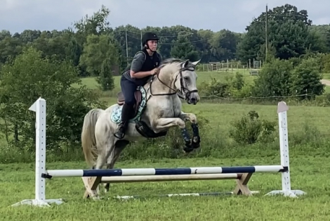 HorseID: 2309003 JNM Prince Caspian - PhotoID: 1093340