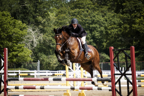 HorseID: 2309024 Nakato - PhotoID: 1093346