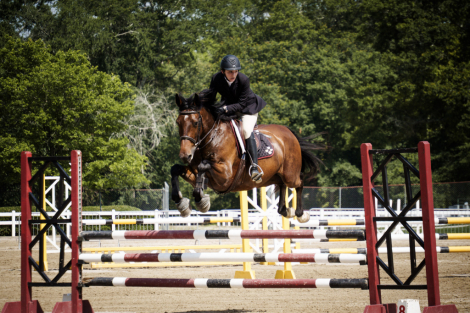 HorseID: 2309024 Nakato - PhotoID: 1093348