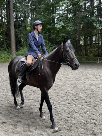 HorseID: 2309035 June - PhotoID: 1093360