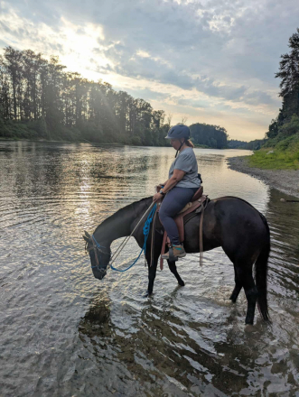 HorseID: 2309035 June - PhotoID: 1093362