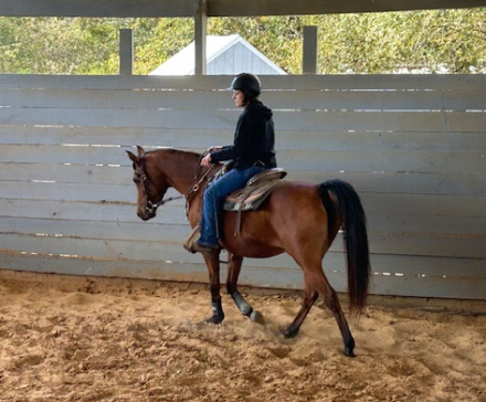 HorseID: 2309040 MM Eden's Kiss - PhotoID: 1093374