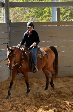 HorseID: 2309040 MM Eden's Kiss - PhotoID: 1093375