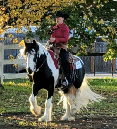 HorseID: 2309052 FCF Jane Downs Boy - PhotoID: 1093398