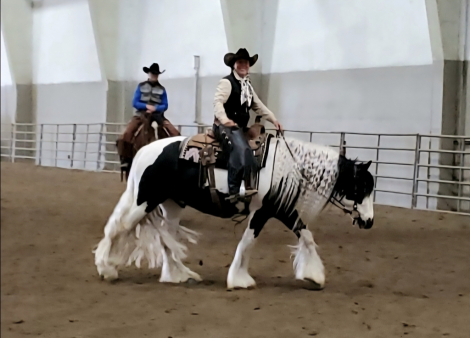 HorseID: 2309052 FCF Jane Downs Boy - PhotoID: 1093400