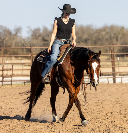 HorseID: 2309075 MCM Maxxis The Great - PhotoID: 1093413