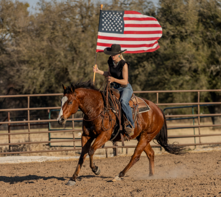 HorseID: 2309075 MCM Maxxis The Great - PhotoID: 1093416